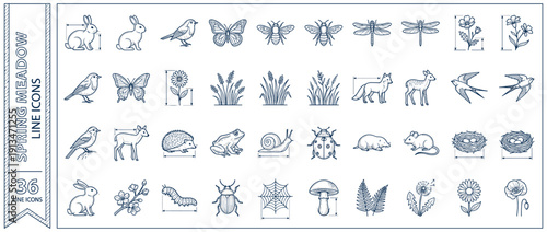 Spring Meadow Wildlife Line Icon Set: 36 Vector Illustrations of Rabbits, Birds, Butterflies, Bees, Flowers, Insects, and Garden Nature Elements for Minimalist Design and Technical Graphics.
