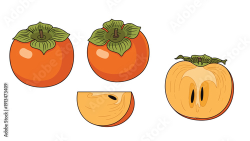 Persimmon fruit illustration includes whole fruits, a half slice showing seeds, and a small wedge on a white background.