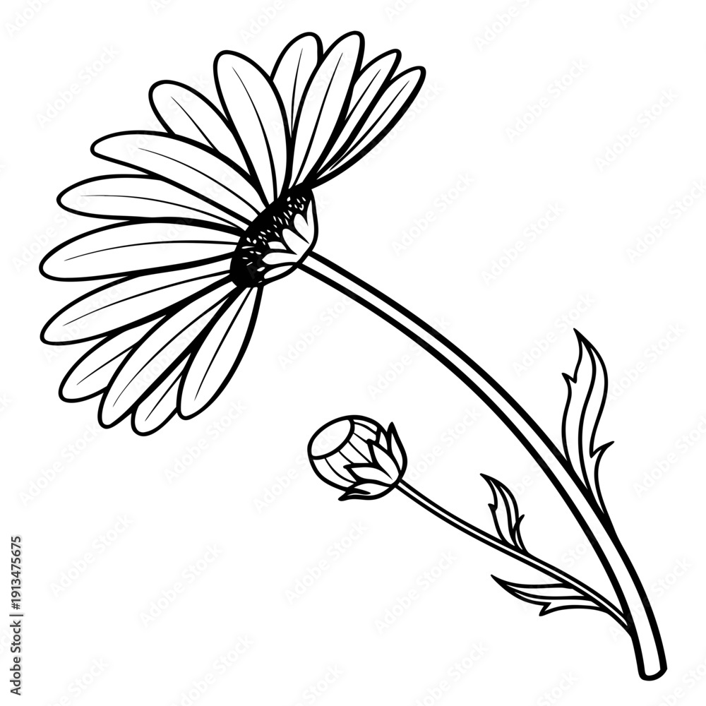 Fototapeta premium Daisy Side Profile – Modern Organic Brand 1