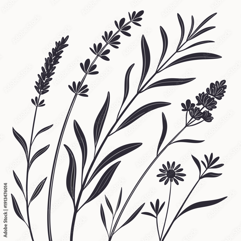 Fototapeta premium Herbal Botanical Vertical Research Layout – Premium Packaging Story 1