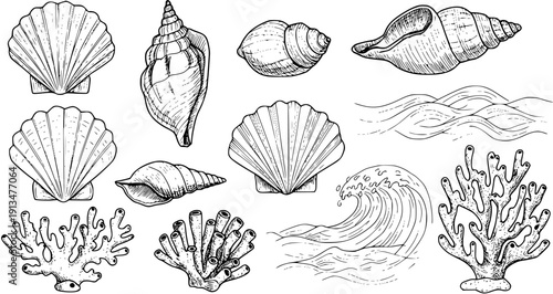 Hand-drawn collection of marine elements: seashells, scallops, conch, coral, and ocean waves. Vintage sea life sketch set.