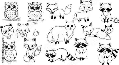 Cute Woodland Animals Doodle Collection: Whimsical Owls, Foxes, and Raccoons