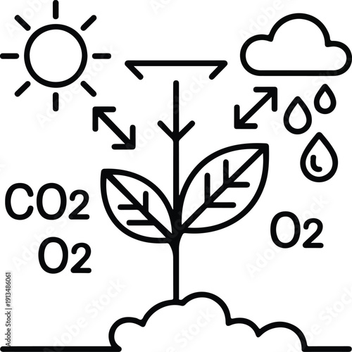 Photosynthesis Process Vector Illustration  Sunlight, Water, and Carbon Dioxide Cycle