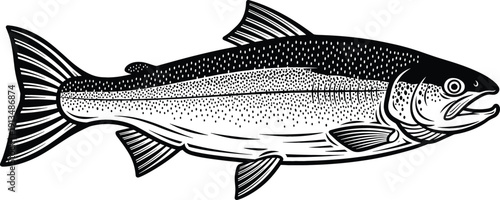 Detailed black and white line-art illustration of a trout featuring intricate scale patterns and anatomical accuracy