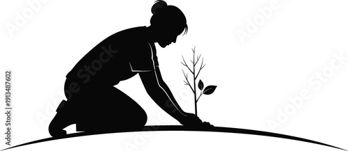 Silhouette of woman kneeling and planting young tree sapling in ground for reforestation environmental conservation and gardening concept