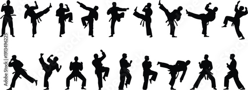 Black silhouette martial artists performing dynamic poses, high kicks, punches, stances, traditional uniforms, cultural sports training vector illustration design.