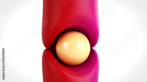 Egg Moving Through Red Tube Slowly.