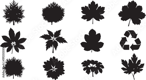 Collection of various leaf silhouettes on white background