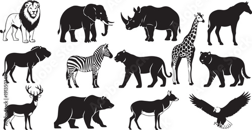 Collection of various wild animals in black and white