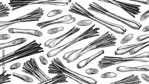 Wooden Engraving Lemongrass on White Background