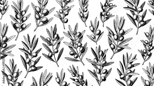 Wooden Engraving Olive Branch on White Background