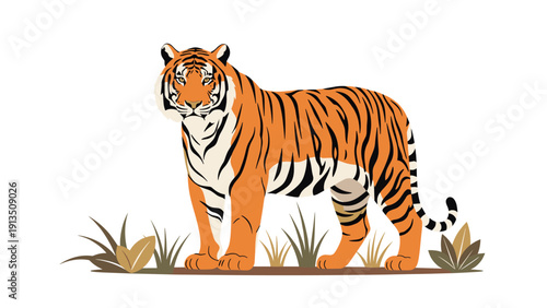 Detailed illustration of a majestic bengal tiger standing alert in the grass against a clean white background.