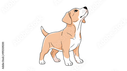 Adorable young beagle puppy standing and looking up with a curious expression depicted in a clean illustrated cartoon vector style.