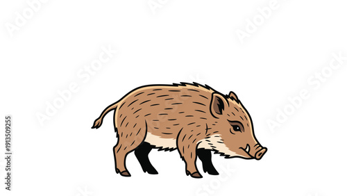 Detailed illustration of a brown wild boar walking forward with its tusks visible on a plain white background in cartoon style.