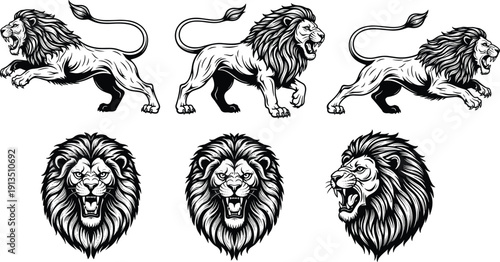 Roaring lion mascot vector set with dynamic full body poses and detailed head illustrations isolated on white background for branding design