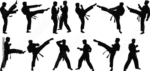 Martial arts karate fighting poses silhouettes set with athletes performing kicks and punches isolated on white background for combat sports training illustration