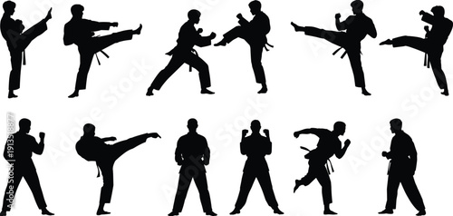 Martial arts fighter silhouettes set showing karate athletes performing kicks, punches and combat stances isolated on white background for sports training illustration