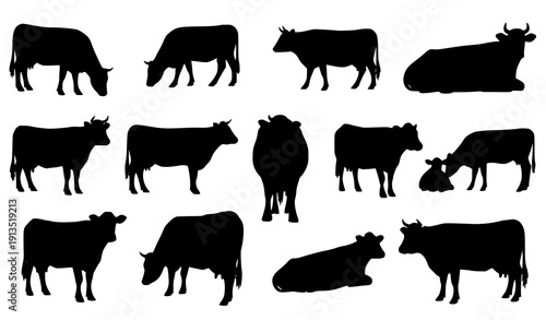 Farm Cow Silhouettes Collection Circular Layout with Realistic Cattle Poses Vector Isolated on White