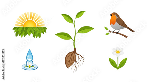 Vibrant collection of essential natural elements illustrating environmental themes and ecological vitality and growth
