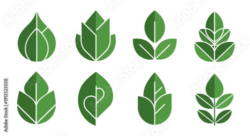 A collection of eight stylized green leaf designs with white veins ideal for digital art on transparent background silhouette