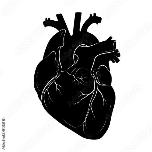 Black Silhouette of a Human Heart with Visible Veins