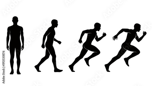 Illustration of Human Evolution Stages from Primate to Modern Figure.