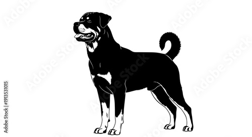 Rottweiler Dog Silhouette, Black and White, Standing Profile