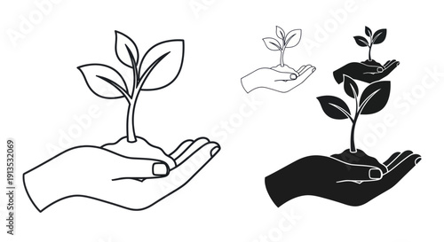 Hand holding a growing plant seedling, symbol of growth, new life, and sustainability