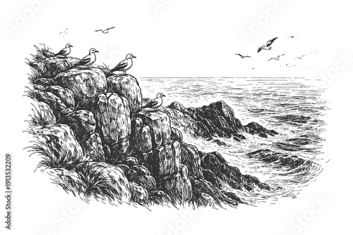 Vintage hand drawn engraving of a colony of sea birds nesting on a rugged coastal cliff overlooking the ocean waves, maritime nature vector illustration.