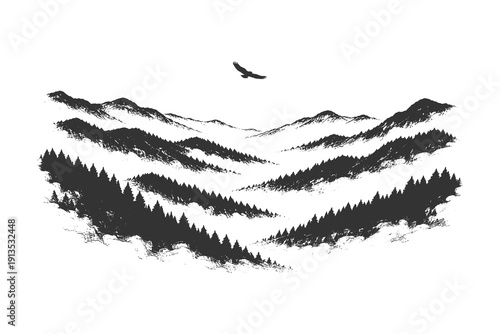 Vintage hand drawn engraving of a deep mountain valley filled with thick mist and layers of pine forest, atmospheric nature vector illustration.