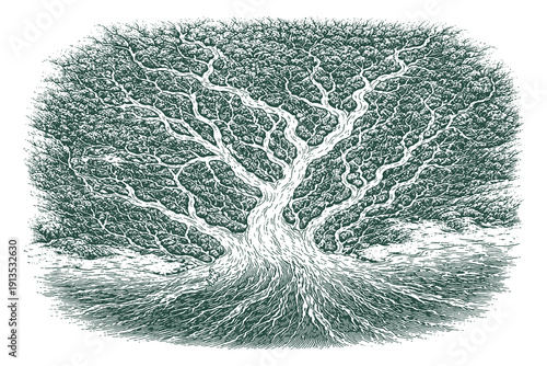 Vintage hand drawn engraving of a top view forest river stream winding through dense trees and lush foliage, aerial nature landscape vector illustration.