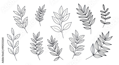 Hand-drawn botanical elements, delicate leaf branches, minimalist sketch