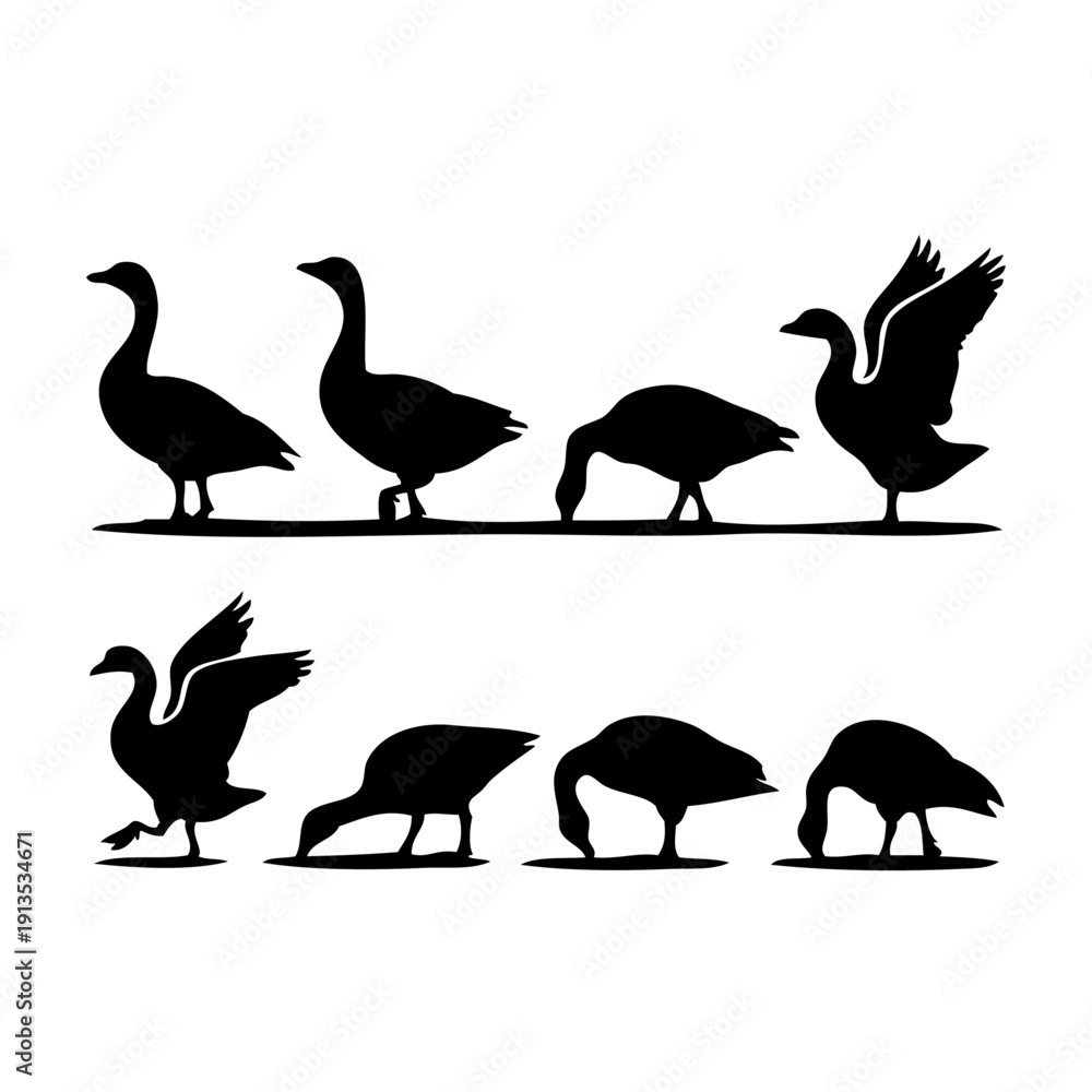 Fototapeta premium A variety of silhouettes of birds standing and flying on a flat surface