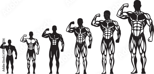 Silhouette of muscular men in various poses and sizes