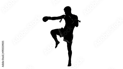 Boxer kicking with boxing gloves on white background vector illustration
