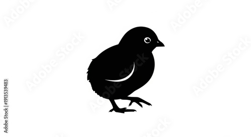 Black Silhouette of a Small Bird Standing on White Background