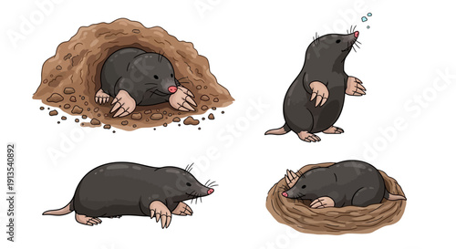 Illustration of a mole in various poses, digging and resting in underground burrows
