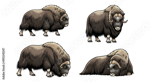 Mammoths in various poses, standing and resting, depicted in detailed illustration from different viewpoints