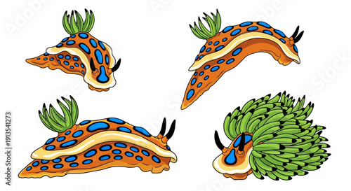 Vibrant slug illustrations showcasing various sea creature designs on a clean white background from a direct viewpoint