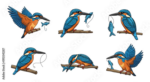 Vibrant Kingfisher Bird Catching Fish in Mid-Air, Illustrated Vector Artwork Showing Various Stages of the Hunt