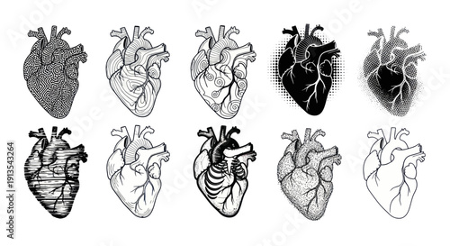 Anatomical Hearts Collection: Diverse Styles and Textures