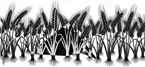 Black Silhouette of Wheat Field Ears, Cereal Grain Stems, Agriculture and Farming Background for Organic Flour Bakery and Harvest Festival Design.