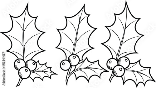 Hand drawn black and white Christmas holly berry leaf illustration set isolated on white background for festive holiday coloring book designs