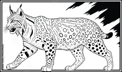 Hand drawn lynx illustration in black and white line art style, spotted wild cat sketch, wildlife predator vector, isolated animal