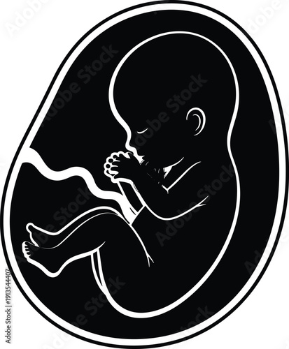 Human Fetus Silhouette in Womb, Pregnancy and Prenatal Development Illustration, Medical Embryo Graphic, Motherhood and New Life Concept for Healthcare.