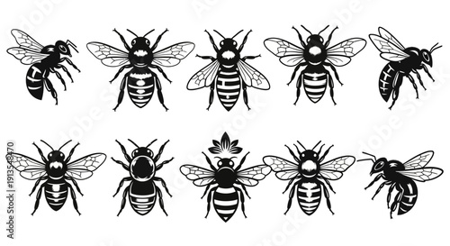 Collection of various bee illustrations in different poses and views, showcasing details and anatomy.