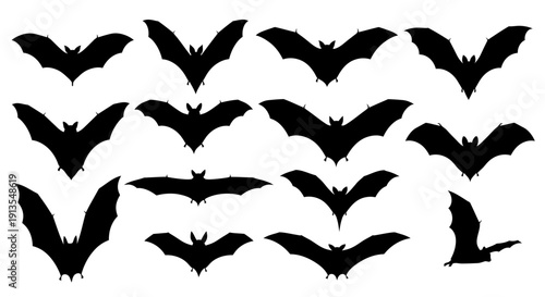Collection of bat silhouettes in various flight positions against a white background from different viewpoints