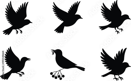 Bird silhouette illustration set, six black icons varied poses perched flying branch berries design, vector artwork, animal and nature theme, isolated background