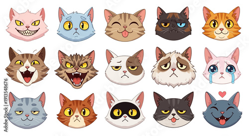 Diverse cat faces illustrating various emotions displayed together in a grid formation showcasing feline expressions
