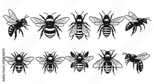 Collection of various bee illustrations in different styles and poses from a straightforward viewpoint